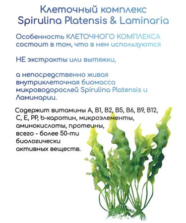 GoldenCitymarket Detox cocktail for weight loss Alive Fresh - Buy Online on GoSupps.com