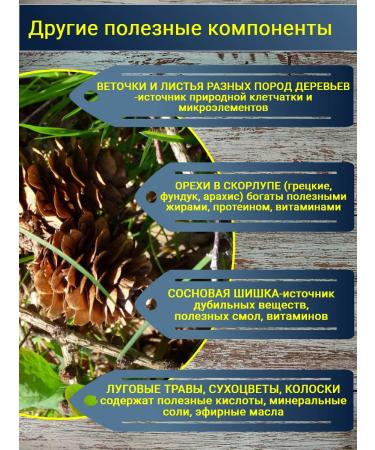 White Parrot Watermelon-yard koposhilka for parrots and rodents - Buy Online on GoSupps.com