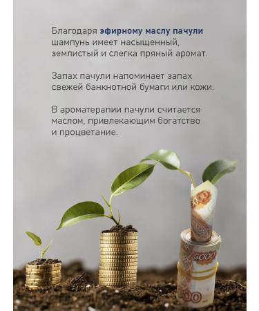 KLEONA Male shampoo for hair strengthening with nettles and horsetail - Buy Online on GoSupps.com