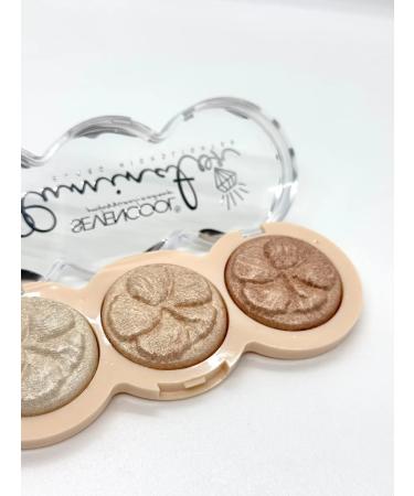 KS-shop cosmetics Highlighter dry for the face and body 3 shade - Buy Online on GoSupps.com