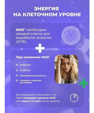 NMN Expert NMN nicotinamide mononucleotide 300 mg 60 capsules - Buy Online on GoSupps.com