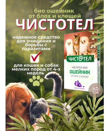 In the animal world 21 Bio collar from fleas and ticks for cats and dogs