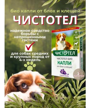 In the animal world 21 Bio drops from fleas and ticks for dogs