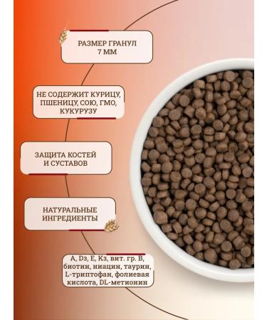 PREMIER Dry food for cats with turkey 2 kg - Buy Online on GoSupps.com