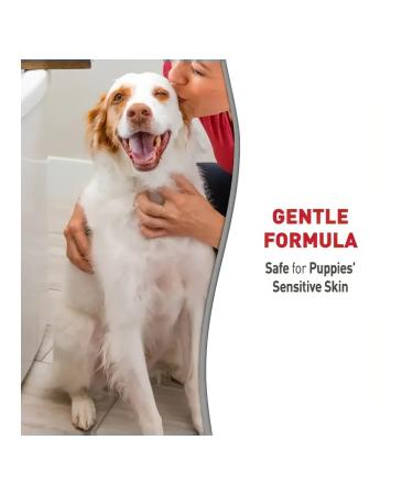 Nature's Miracle Natures Miracle Shampoo Contractor for puppies 473 ml - Buy Online on GoSupps.com