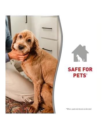 Nature's Miracle Natures Miracle Shampoo Contractor for puppies 473 ml - Buy Online on GoSupps.com