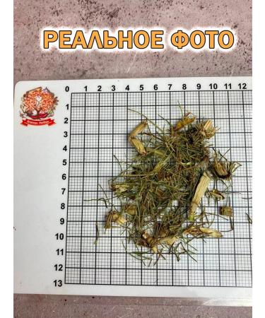 Tree of Love Field horsetail - Buy Online on GoSupps.com