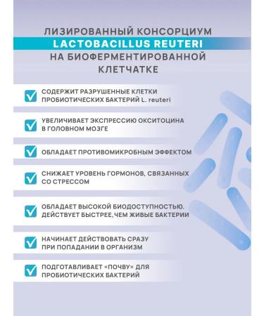 Art Life Panbiolakt Mental Correction of Disorders of the central nervous system through microbiom - Buy Online on GoSupps.com