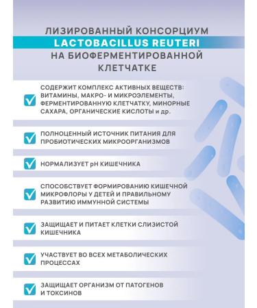 Art Life Panbiolakt Mental Correction of Disorders of the central nervous system through microbiom - Buy Online on GoSupps.com