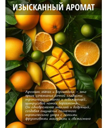 AVAT Set of hand -soap for hand 4 x 500 ml - Buy Online on GoSupps.com