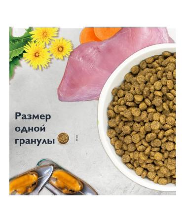 Brit Care Dry food for cats with sensitive digestion - Buy Online on GoSupps.com