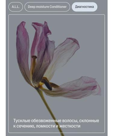 ALL About love & lifestyle Air conditioner for moisturizing dry and porous hair 1000 ml - Buy Online on GoSupps.com