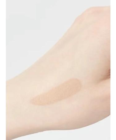 ARIVE Facial Concealer 2g 02n - Buy Online on GoSupps.com