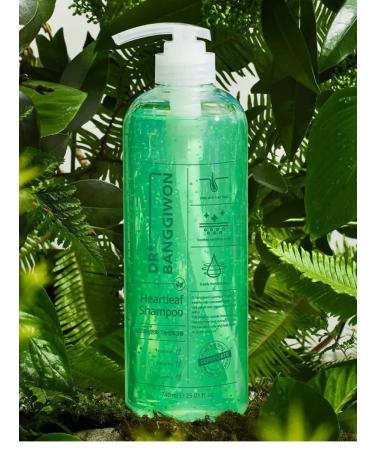 DR BANGGIWON Heartleaf Shampoo hair shampoo - Buy Online on GoSupps.com