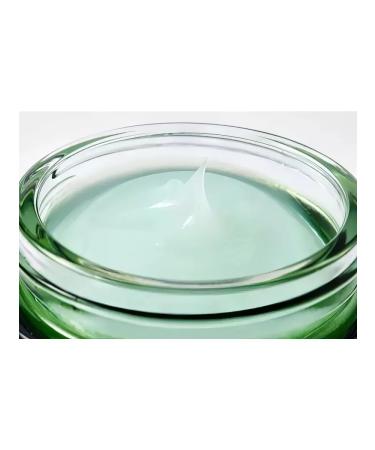 Style Korea Moisturizing face balm cream with Asian centella - Buy Online on GoSupps.com