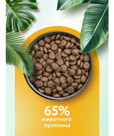 Florida Feed for dogs of medium breeds with chicken and apple 12+2 kg - Buy Online on GoSupps.com