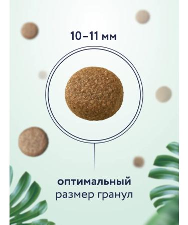 Florida Feed for dogs of medium breeds with chicken and apple 12+2 kg - Buy Online on GoSupps.com