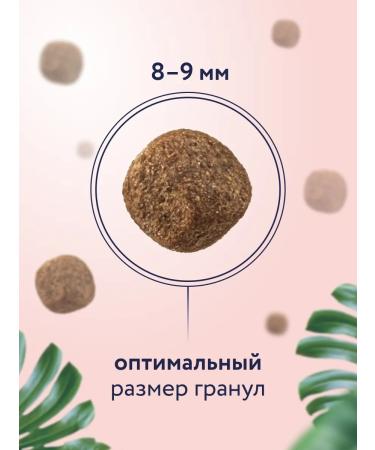 Florida Feed for sterilized cats with salmon and blueberries 0.8 kg - Buy Online on GoSupps.com