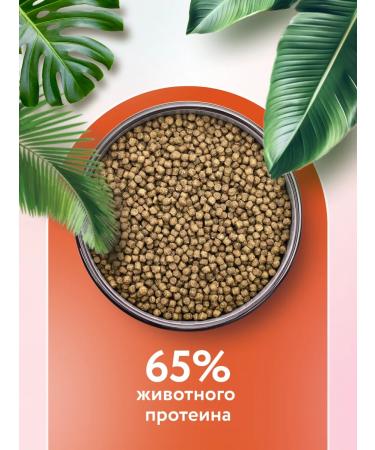 Florida Feed for cats with sensitivity. Passing with turkey 0.8 kg - Buy Online on GoSupps.com