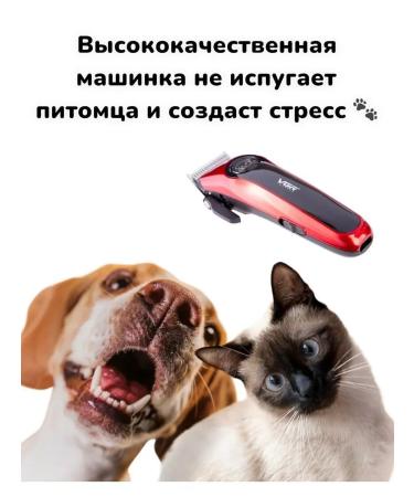 PHILIPS Animal haircut machine - Buy Online on GoSupps.com