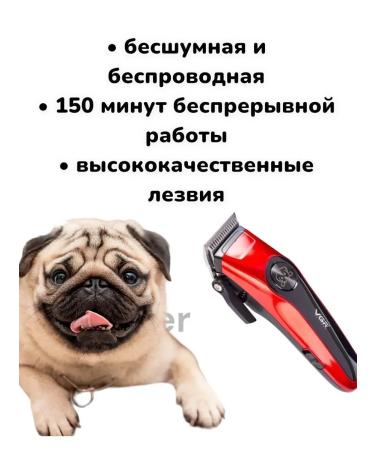 PHILIPS Animal haircut machine - Buy Online on GoSupps.com