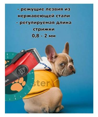 PHILIPS Animal haircut machine - Buy Online on GoSupps.com