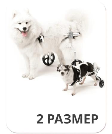 Liras Wheelchair for dogs on the hind legs