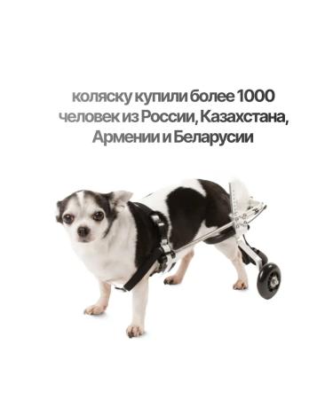 Liras Wheelchair for dogs on the hind legs - Buy Online on GoSupps.com