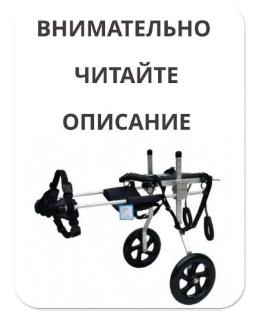 Liras Wheelchair for dogs on the hind legs - Buy Online on GoSupps.com