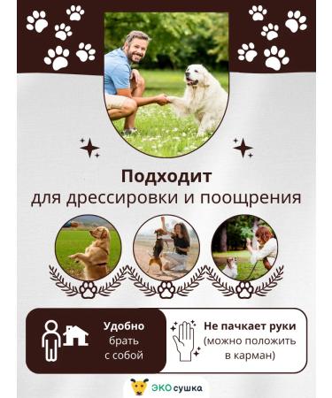 ECOdrying Light beef for dogs and cats 1000g - Buy Online on GoSupps.com