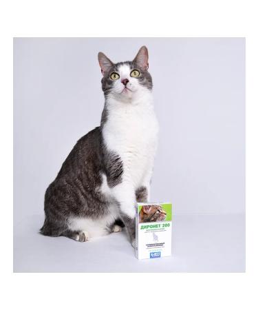 AVZ Dironet 200 tablets from worms 10Tab - Buy Online on GoSupps.com