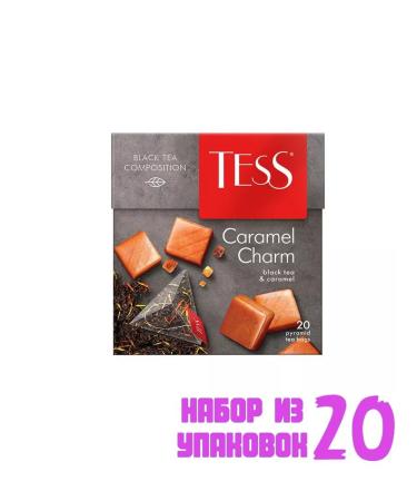 TESS Tea in pyramids Caramel Charm 20 feast. (20 pcs) 6008832