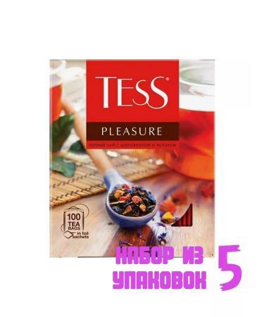 TESS Black tea in Pleasure bags 100 pack. (5 pcs) 6009198