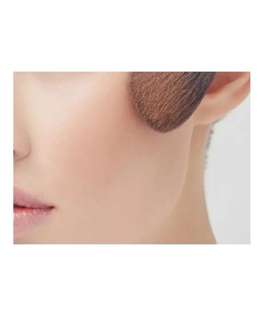 LUXVISAGE The powder-brinzer is universal - Buy Online on GoSupps.com