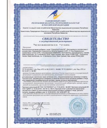 Santegra Chlorophyll Forte chlorophyll set 2x90 capsules - Buy Online on GoSupps.com