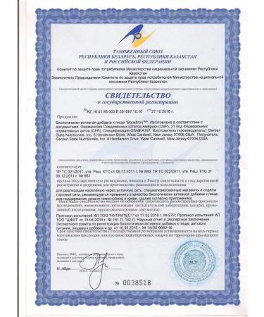 Santegra Boostiron Bustairon Iron Fulat set 2x60 tablets - Buy Online on GoSupps.com