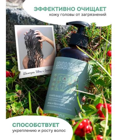 levrana Hair shampoo strengthening horsetail and lingonberry 400 ml - Buy Online on GoSupps.com