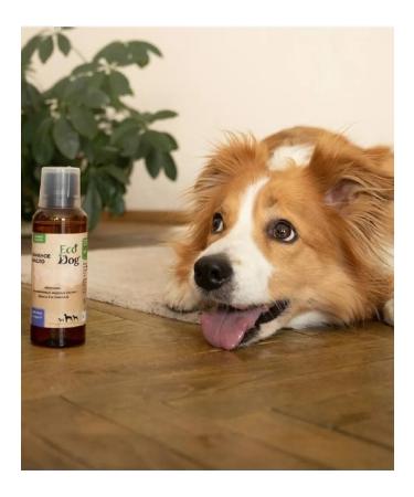 Hidalgo Flax oil for dogs and cats 200 ml - Buy Online on GoSupps.com