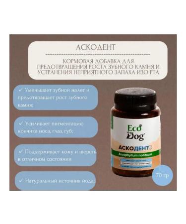 Hidalgo ACCOUNT ECODOG PEOPLE PERFORMANCE 70 GR