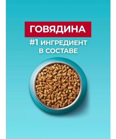 PURINA ONE Dry food for sterilized cats beef 3 kg - Buy Online on GoSupps.com