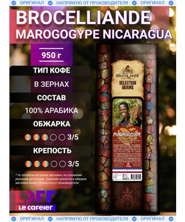 Brocelliande Coffee in Boselliad Maragogype Nicaragua 950 gr