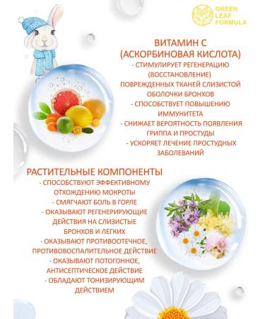 GREEN LEAF FORMULA Children's syrup from coughing bronchi Kids from colds and flu - Buy Online on GoSupps.com