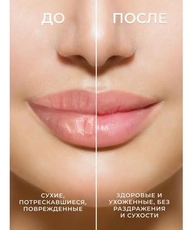 Made by a bee Lip balm Gift set Hygienic lipstick - Buy Online on GoSupps.com