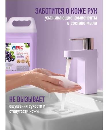 ARIC Hand soap for hand -mounted perfumed 5 l black currants - Buy Online on GoSupps.com