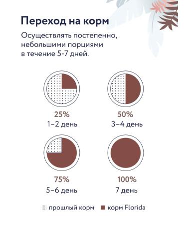 Florida Gastrointestinal Dry Feed for Cats 0.5 kg - Buy Online on GoSupps.com