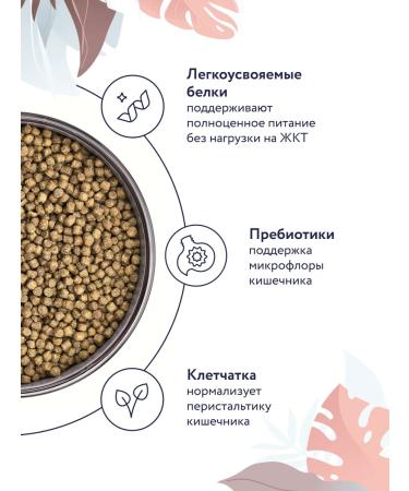 Florida Gastrointestinal Dry Feed for Cats 0.5 kg - Buy Online on GoSupps.com