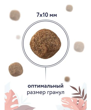 Florida Gastrointestinal Dry Feed for Cats 0.5 kg - Buy Online on GoSupps.com