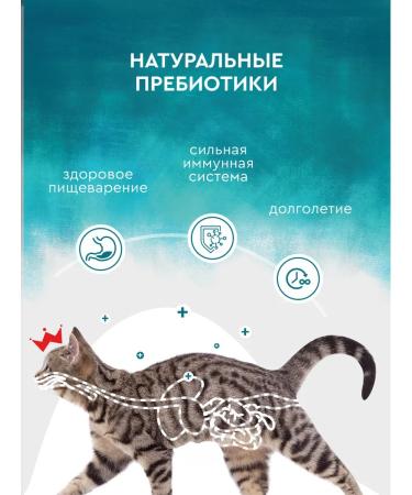 FORWARD ZOO Bezernary premium food for cats 1.8 kg hypoallergenic - Buy Online on GoSupps.com