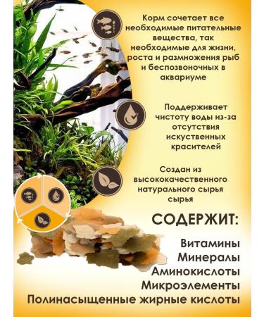 Tetramin Flakes 1 l fish food (flakes) - Buy Online on GoSupps.com