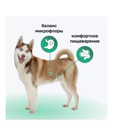 Organix Dry food for adult dogs Sensitive Digestion - Buy Online on GoSupps.com